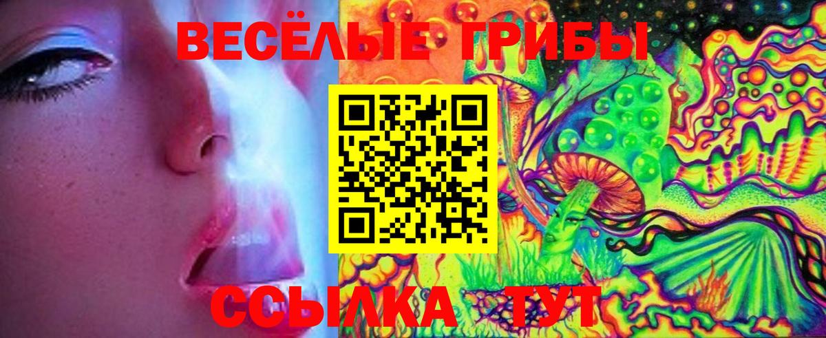 Галлюциногенные грибы Cubensis  Вход с VPN  Мытищи 
