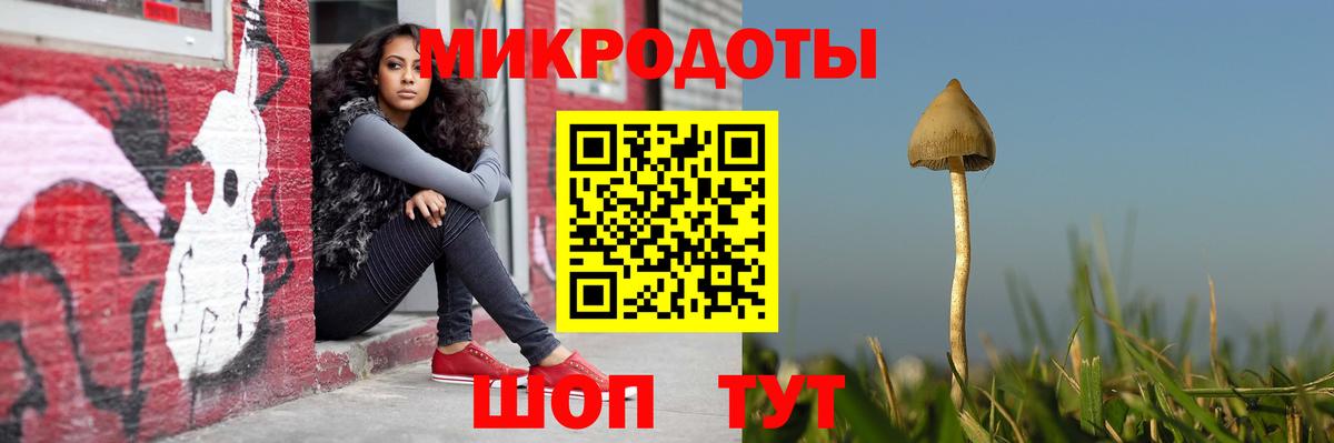Псилоцибиновые грибы Psilocybine cubensis Мытищи