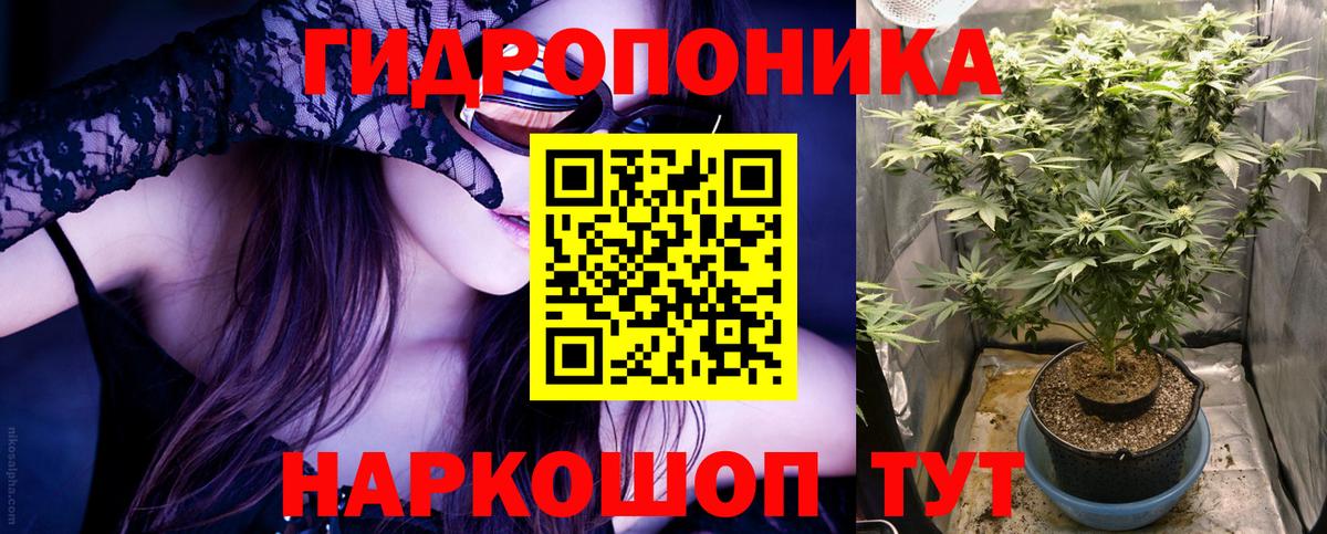 Бошки марихуана сатива Мытищи